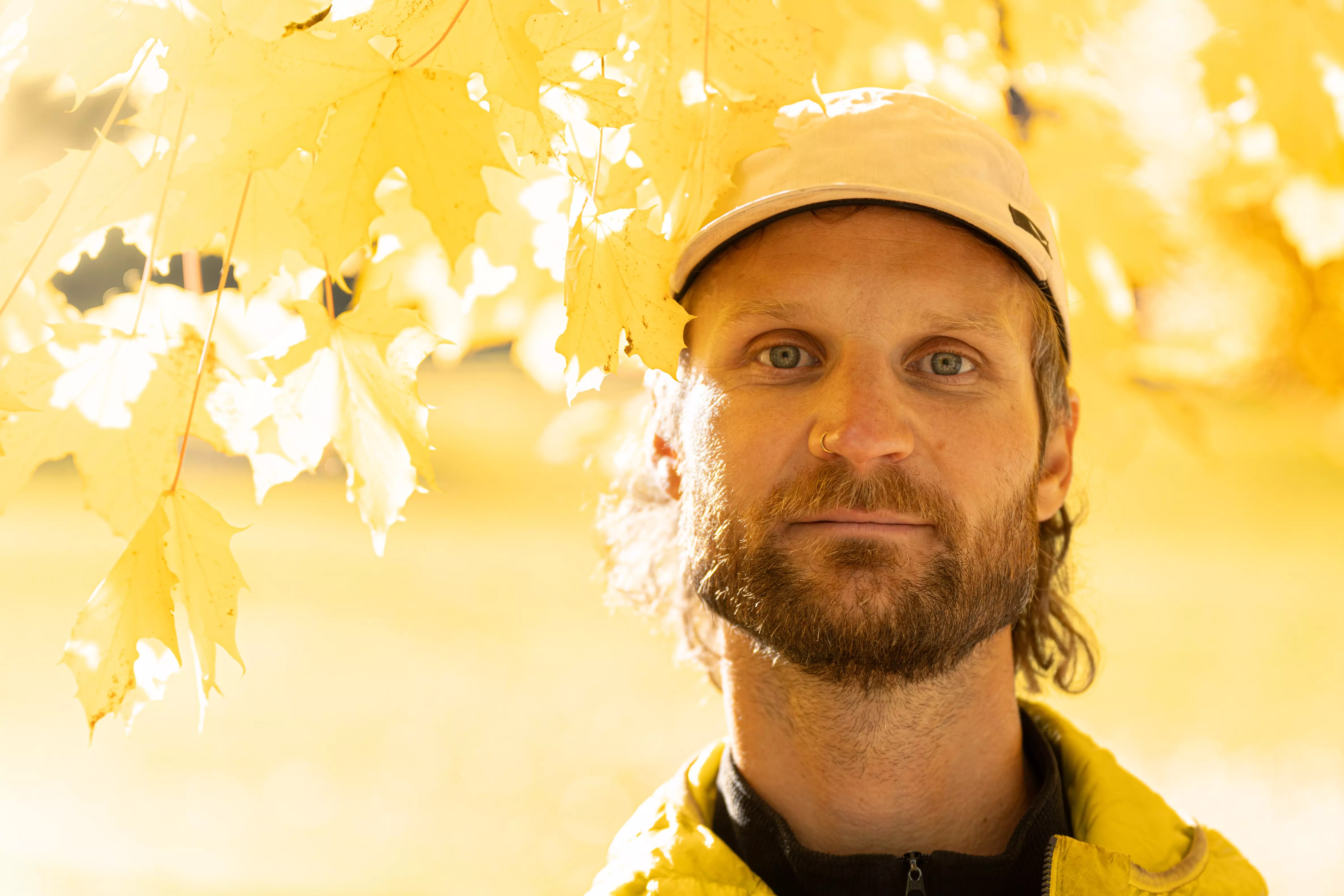 Picture of David under a Tree
